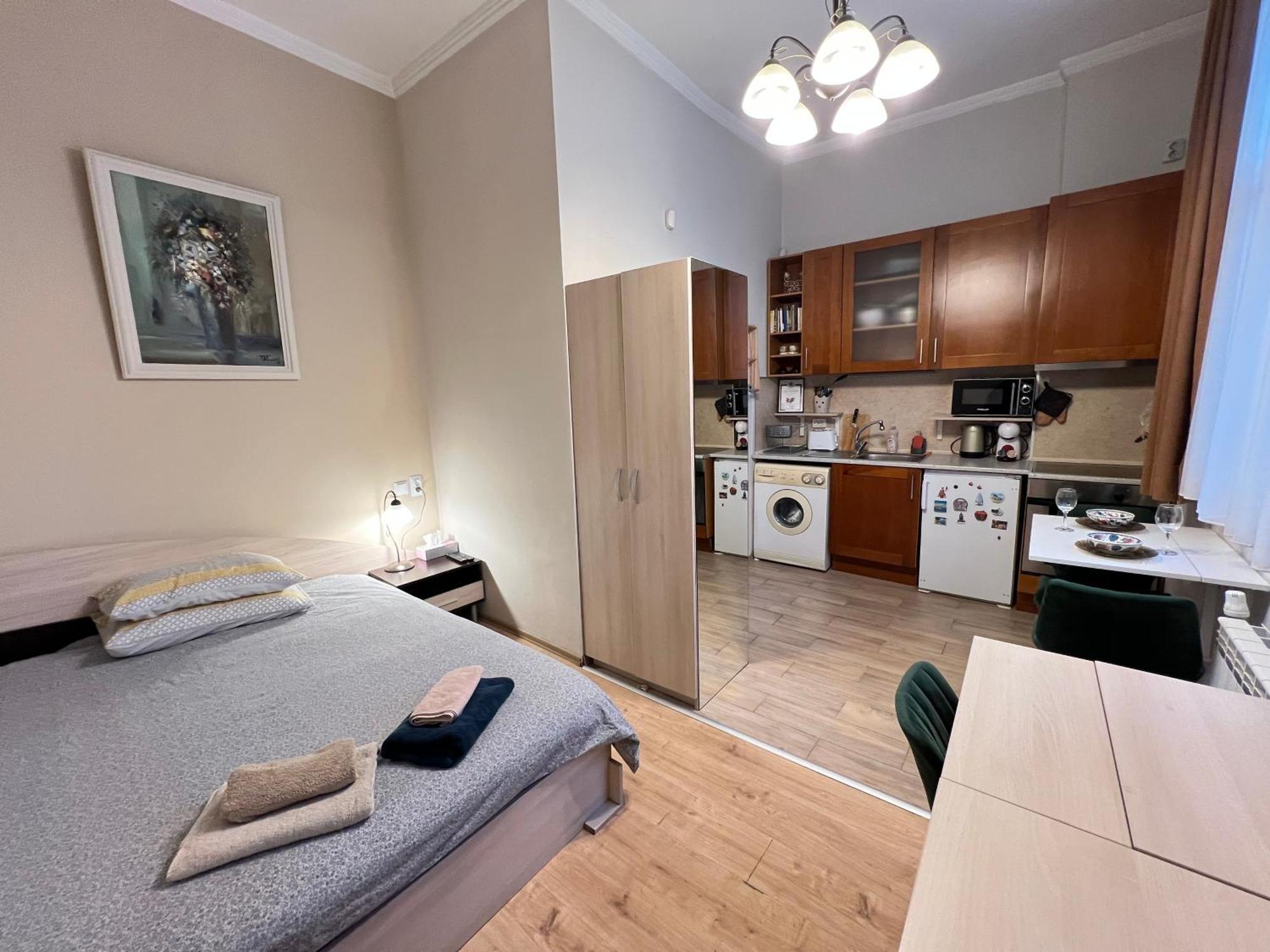 Budapest Central Cozy Studio W Working Space And Wifi ソフィア エクステリア 写真